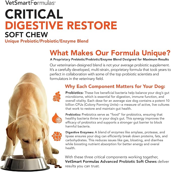 Critical Digestive Restore Soft Chews for Dogs - Veterinarian-Strength Probiotic Support for Optimal Health – with 10 Billion CFUs Per Dose