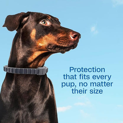 ADAMS Flea & Tick Collar for Dogs & Puppies, Flea Collar for 12 Month Prevention, Kills Fleas, Ticks & Repels Mosquitoes, Excluding California, One Size Fits All Dogs & Puppies, 2 Count