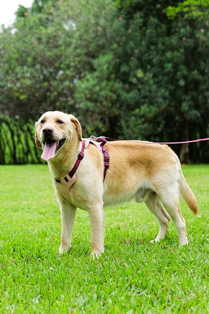 3 in 1 No Pull Dog Harness Leash and Collar Set, Soft Adjustable Dogs Vest Reflective and Comfortable Handle Pink Small