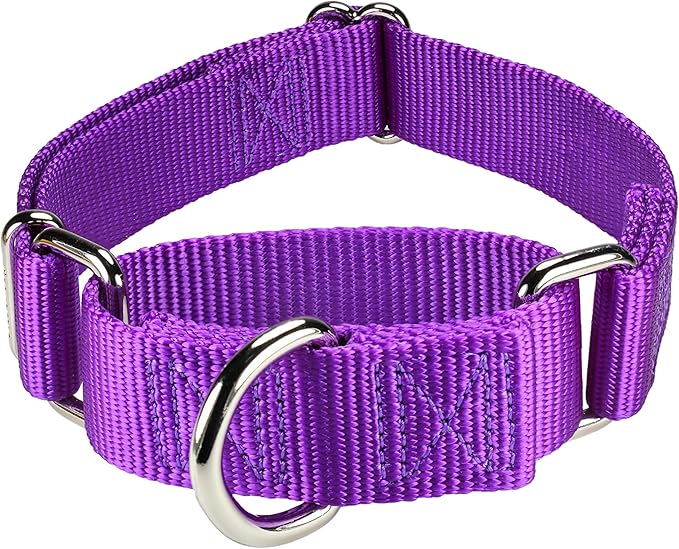 Mikivery Martingale Dog Collar Nylon Adjustable and Safety Training Colourful Comfortable Metal Buckle Pet Collars for Small Medium and Large Dogs(Purple 1,L)