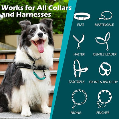 PetBonus Dog Collar Safety Clip, Handmade Backup Safety Strap for Dog Harness, Prong, Pinch Collar, Double Ended Clasp Leash Connector (Turquoise)