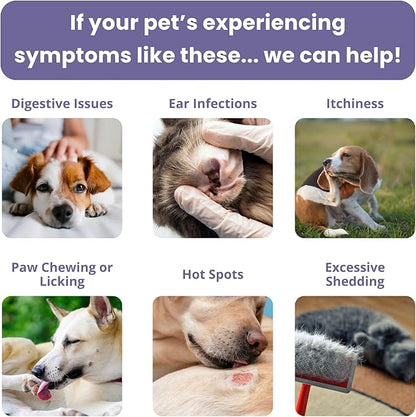 Glacier Peak Holistics, The Original Pet Intolerance Test - Screen Over 395 Food and Environmental Stressors, A Hair and Saliva Kit for Cat and Dog Sensitivities (Results in 7-10 Business Days)