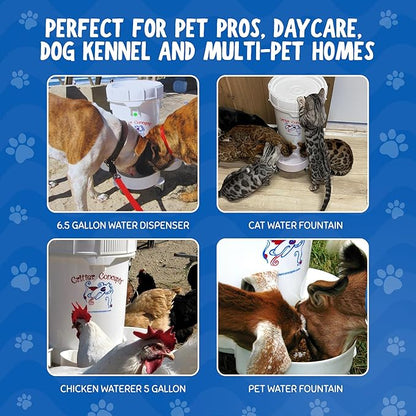 Pet Gravity Water Dispenser: 5 Gallon. for Dogs, Cats, Goats, Small Animals. Quiet, No BPA and Made in USA. Ideal Dog Bowl Large Breed. Best Automatic Waterer.