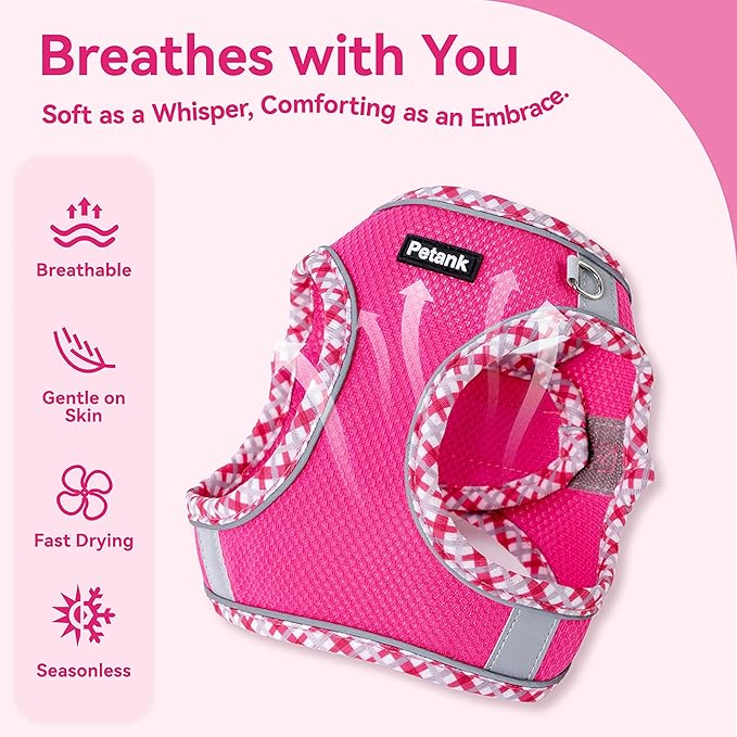 Petank Dog Harness for Small Medium Dogs No Pull, Puppy Harness and Leash Set for Walking, Running, Training, Small Dog Harness, Medium Dog Harness (Rose Red, XS)