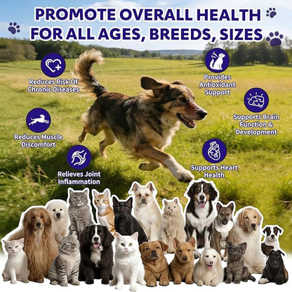Wild Salmon Oil for Dogs & Cats Pet Omega-3 Fish Oil Supplement to Reduce Shedding and Itching, Support Joints, Brain, Heart, Skin & Coat Health Fast-Absorbing Liquid Fish Oil Supplement - 8 oz