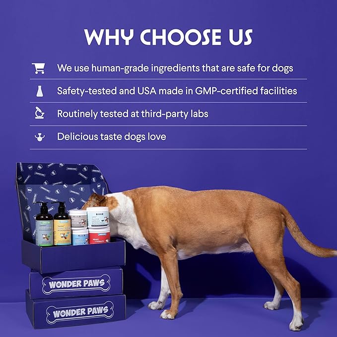 Wonder Paws Cardio Support for Dogs – Cardiovascular Chews Heart Health, Circulation, Energy & Weight Management - with L-Carnitine, Hawthorn Berry, Coenzyme Q10 & Taurine for Dogs – 90 Soft Chews