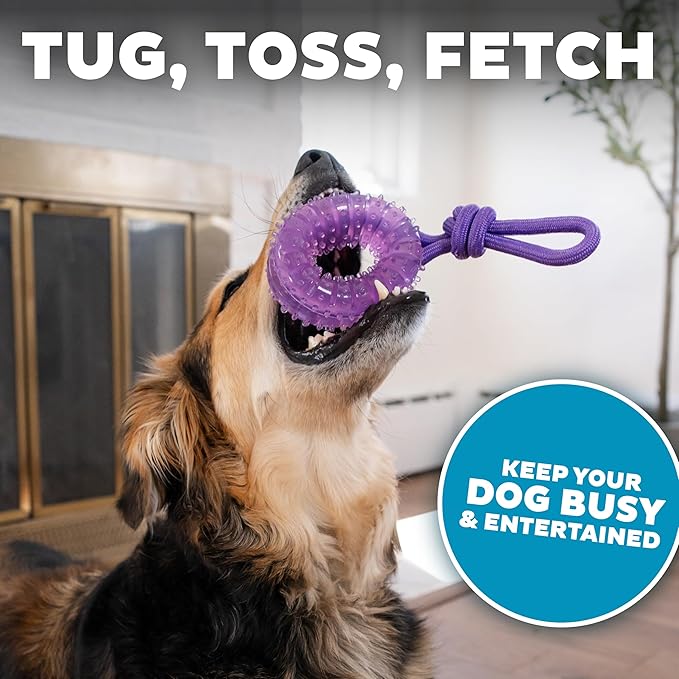 2-in-1 Dental Dog Chew Wheel Ring & Rope Tug Toy for Teething Puppies & Dogs, Mint-Scented & Teeth-Cleaning, 9-Inch, Purple
