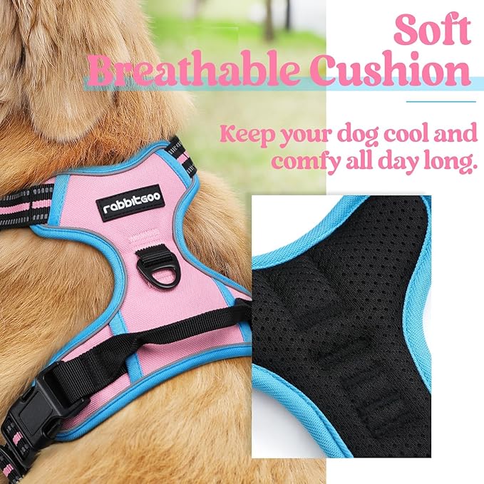rabbitgoo Dog Harness No Pull with 2 Leash Clips, Adjustable Soft Padded, Reflective Oxford No Choke Pet Vest with Easy Control Handle for Small Dogs, Pink & Blue, S
