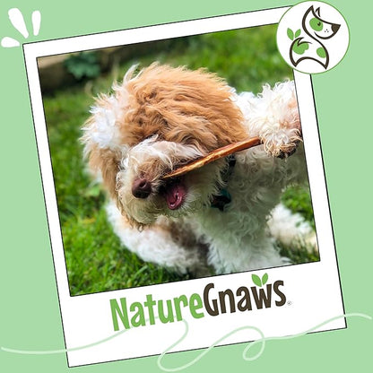 Nature Gnaws Extra Thin Bully Sticks for Small Dogs 5-6" (50 Count) - Long Lasting for Light Chewers and Puppies - Natural Beef Dog Chew Bone