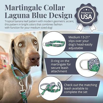 Lucky Love Dog Martingale Collar, Premium No Slip Martingale Collar for Medium Boy Dogs, Great for Whippets, Greyhounds, and More (Medium, Blue Laguna)