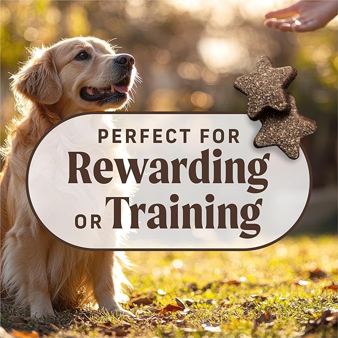 Merrick Power Bites Natural Soft And Chewy Real Meat Dog Treats, Grain Free Snack With Real Beef Recipe - 6 oz. Bag