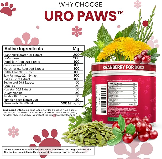 Dog UTI Treatment | Cranberry for Dogs | Urinary Tract Bladder Control | D-Mannose Dandelion Glucosamine HCL Marshmallow Nettle Leaf Saw Palmetto Uva Ursi Horsetail Beef Flavor by Clean Nutra Pets