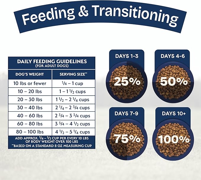 Natural Balance Health Protection Dry Dog Food – Whole Body Health, Easy on Digestion Dog Food Made with Salmon, Brown Rice & Pumpkin for Dogs - 4lbs.