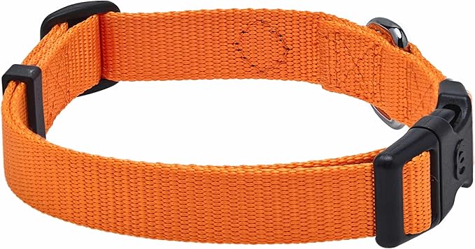 Blueberry Pet Essentials Matching Dog Collar and Leash Set in Orange Vermilion, Adjustable Classic Solid Color Nylon Collar with 5 ft Leash for Medium Dogs