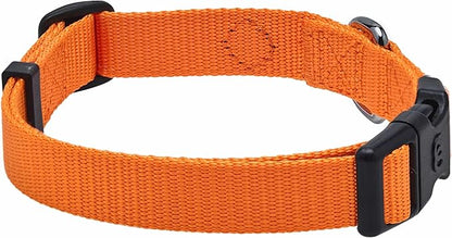 Blueberry Pet Essentials Matching Dog Collar and Leash Set in Orange Vermilion, Adjustable Classic Solid Color Nylon Collar with 5 ft Leash for Medium Dogs
