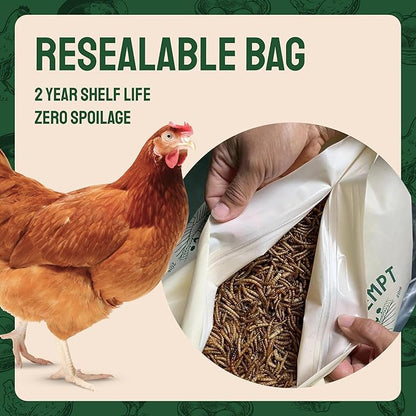 Hatortempt Dried Mealworms - Non-GMO & Organic - High-Protein Mealworms for Wild Bird Food, Ducks & Chickens (5lb)
