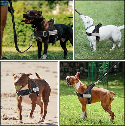 SlowTon No Pull Dog Harness - Heavy Duty Dog Harness and Leash Set for Medium Large Dogs, Reflective Tactical Harness with Soft Padded and Front Clip for Easy Walk and Training （B, M