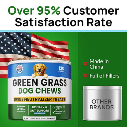 PAWFECTCHEW Green Grass Dog Chews w/Probiotics - Prevent Urine Burning Grass - Dog Pee Grass Spot Saver - Dog Urine Neutralizer for Lawn Treats, UT & Gut Health for Dogs, Lawn Burn from Dog Urine