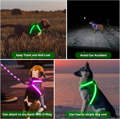 ChalkLit Light Up Dog Harness, No Pull Led Dog Harness Glow-in-The-Dark for Night Walking, USB Rechargeable Lighted Safety Vest for Small Dogs, Adjustable Soft Mesh Fully Illuminated (Green, Small)