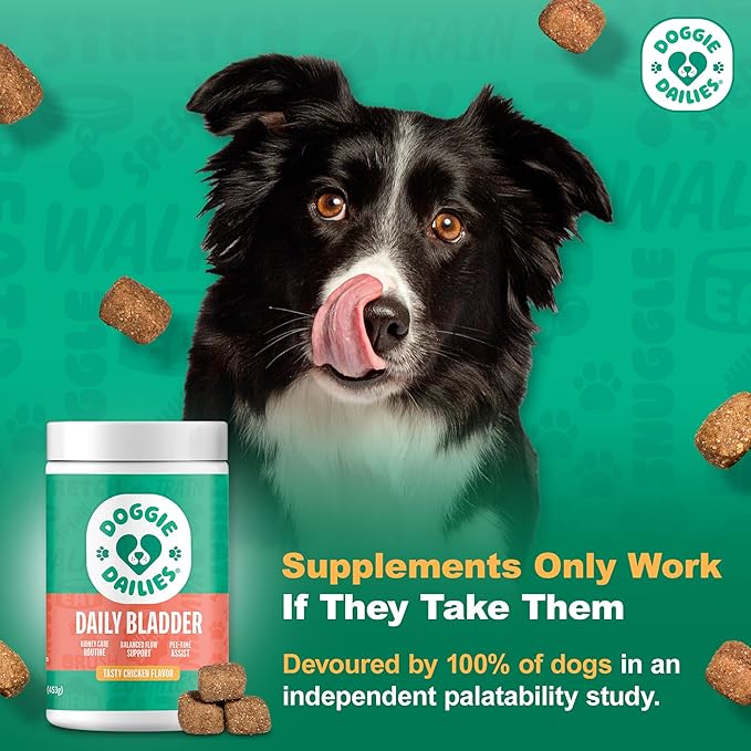 Doggie Dailies Cranberry Supplement for Dogs - Urinary Tract, Bladder & Kidney Support - Cranberry with Marshmallow Root, Licorice Root & Apple Cider Vinegar (Chicken) 225 Soft Chews