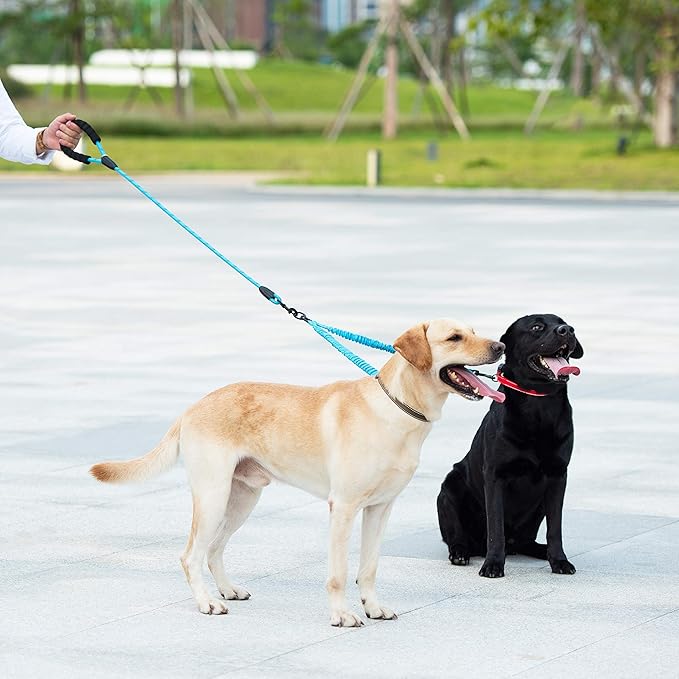 iYoShop Dual Dog Leash - 360° Swivel, No Tangle Walking Leash with Shock Absorbing Bungee for Two Dogs (Large, 25-150 lbs, Blue)