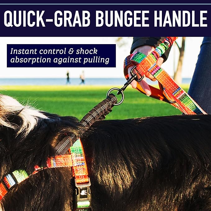 Leash Boss No Pull Dog Harness, Easy Walk for Small, Medium, and Large Pets, Reflective with Rear and Front Clip Attachment (Wave Pattern, Small)