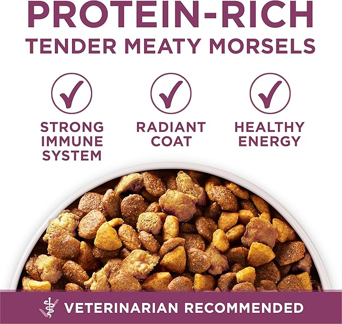 Purina ONE Plus Healthy Puppy Formula High Protein Natural Dry Puppy Food with added vitamins, minerals and nutrients - 31.1 lb. Bag