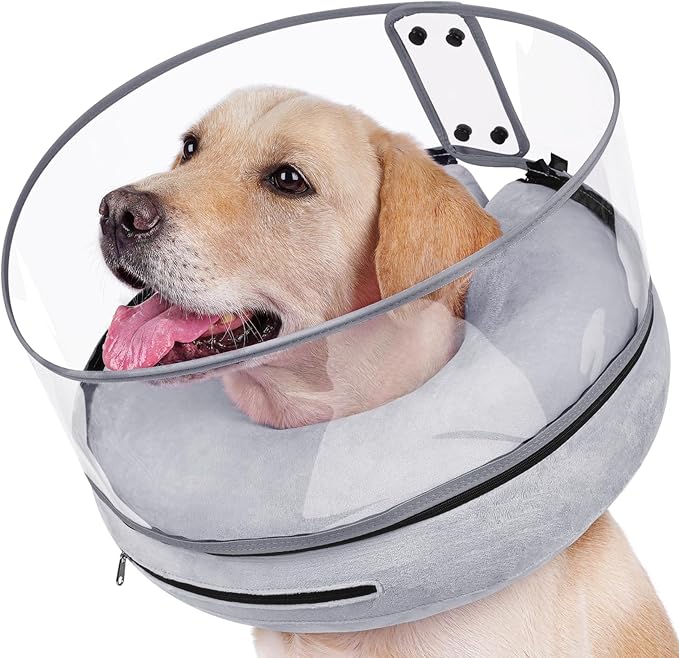 BARKLESS Inflatable Dog Cone, Protective Dog Surgery Collar to Stop Licking Biting Wounds, Patented Soft Donut Cone with Clear Shield, Adjustable Blow-up Collar for Surgery (Grey, M (Neck: 8"-11"))