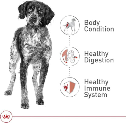 Royal Canin Size Health Nutrition Medium Adult Dry Dog Food, 30 lb Bag