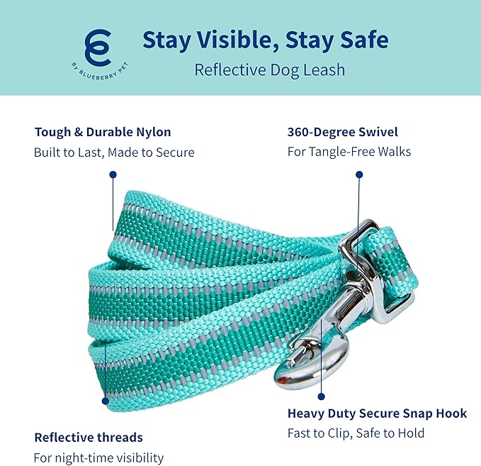 Blueberry Pet Essentials Reflective Back to Basics Matching Dog Harness and Leash Set, Minty Green, Adjustable Harness with 5 ft Leash for Medium Dogs