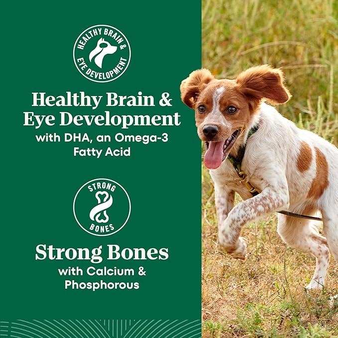 Nutro Natural Choice Dry Dog Food Large Breed, Puppy Food Dry Recipe, Chicken and Brown Rice Recipe, 30 lbs.