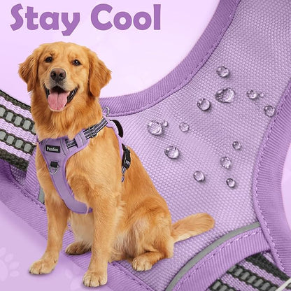 Funfox Dog Harness No Pull, Adjustable Pet Vest Harness, Super Soft Material with Vertical Handle Easy Control, Reflective Night Walking, 2 Leash Clips for Small Sized Dogs, Purple, S