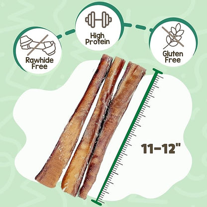 Nature Gnaws Extra Large Bully Sticks for Dogs 11-12" (3 Count) - Thick Long Lasting for Aggressive Chewers and Heavy Chewers - Natural Beef Dog Chew Bones