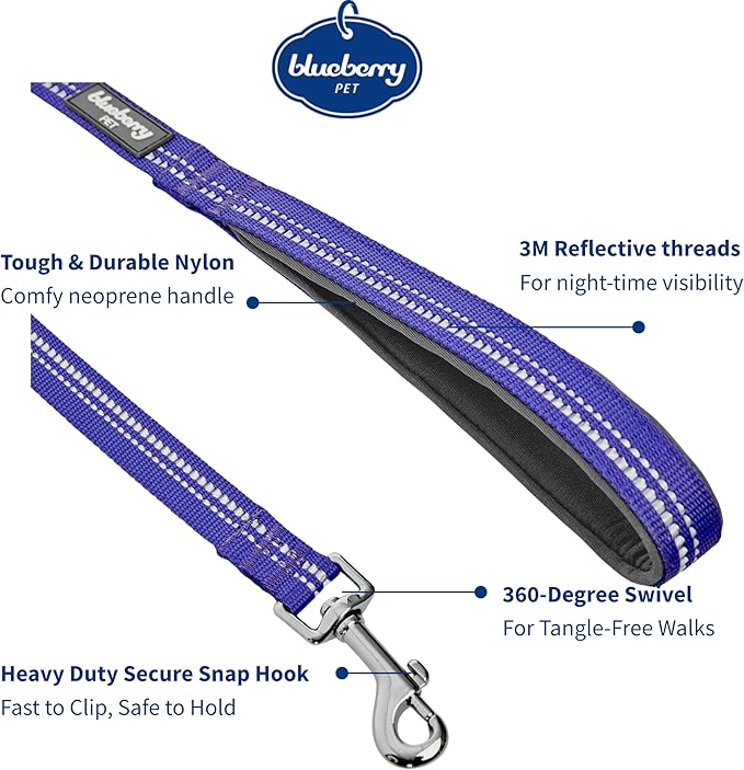 Blueberry Pet 3M Reflective Pastel Color Dog Leash with Soft & Comfortable Handle, 5 ft x 5/8", Violet, Small, Leashes for Dogs