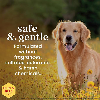 Burt’s Bees for Pets Oatmeal Dog Shampoo with Honey, Soothing Dog Shampoo for Itchy and Sensitive Skin, pH Balanced Formula That Gently Cleans and Moisturizes Dog Coats, 16 Fl Oz