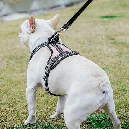 PUPTECK Dog Harness and Leash Set Medium Sized, Adjustable Reflective Escape Proof Puppy Vest, No Pull Walking Harness Easy Control