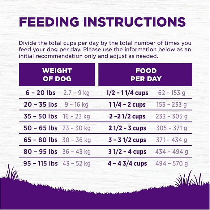 Wellness Complete Health Adult Dry Dog Food, Wholesome Grain Kibble, Natural, Chicken and Oatmeal Recipe, 26 lb Bag