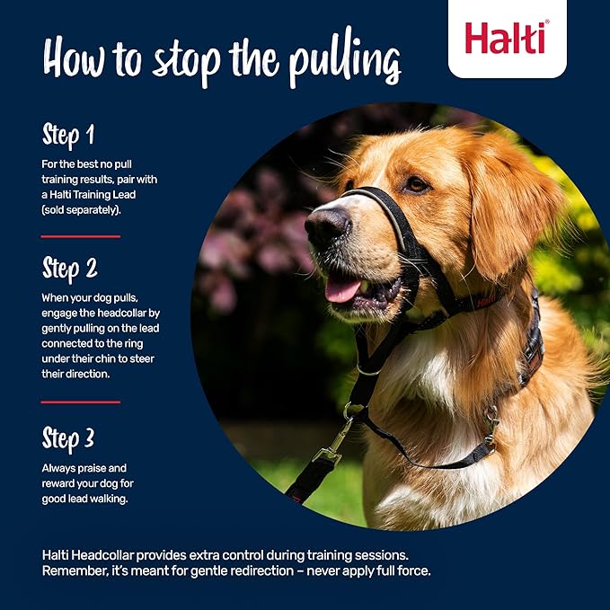 Halti Headcollar - Stop Your Dog Pulling on The Leash. Adjustable, Reflective and Lightweight, with Padded Nose Band. Dog Training Anti-Pull Collar for Small Dogs (Size 1, Deep Walnut)