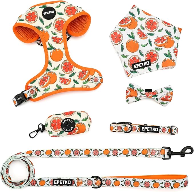 Small Dog Harness and Leash Set of 6, No Pull Soft Lightweight Mesh Puppy Harness， Adjustable Cute Floral Pattern Pet Harness for Small Medium Dogs (Orange, L)