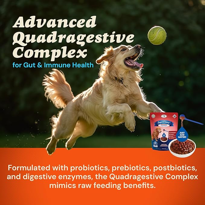 CLEAR CONSCIENCE PET® Barkinara™ SuperGravy® Natural Dog Food Gravy Topper, Hydration Broth Mix, Gluten and Grain Free Kibble Seasoning Powder Topper for Picky Eaters (4.5 oz. (30 Scoop))