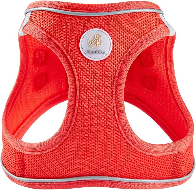 Hipubby Dog Harness and Leash Set, No Pull Soft Mesh Puppy Harness for Small Medium Dogs, Cats - Step in Reflective Breathable Lightweight Vest Harness for Walking, Training - Red, XS