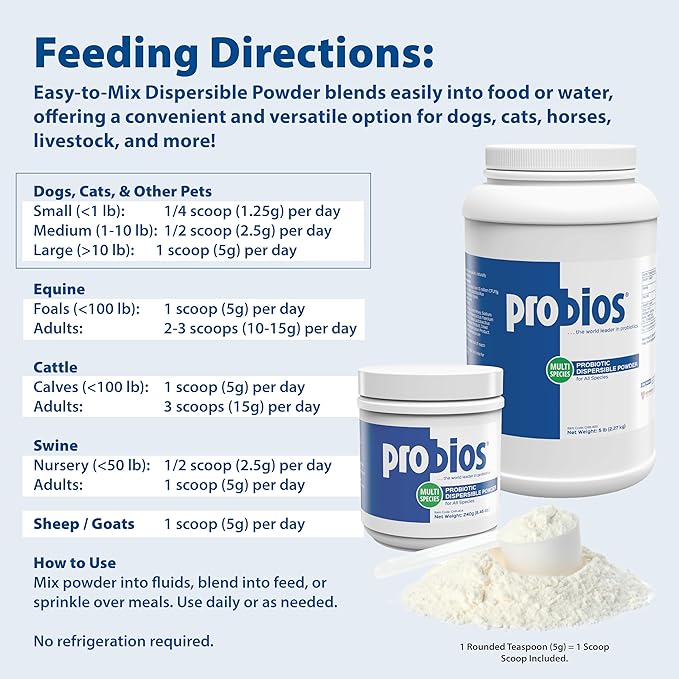 Probios Digestive Support Probiotic for All Species, Probiotics for Gut Health, Dispersible Powder, 240 gm (Pack of 2)