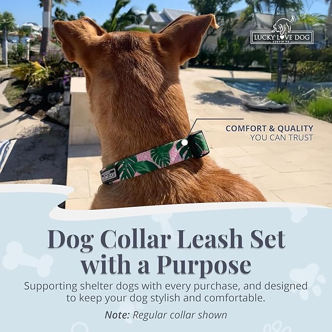 Lucky Love Dog Martingale Dog Collar & Leash - Adjustable, No-Slip, Durable, Comfortable, Soft Webbing, & Stylish Patterned Collar & Leash Set for Male and Female Dogs - Laguna Mart Combo, Small