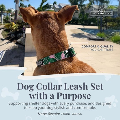 Lucky Love Dog Martingale Dog Collar & Leash - Adjustable, No-Slip, Durable, Comfortable, Soft Webbing, & Stylish Patterned Collar & Leash Set for Male and Female Dogs - Laguna Mart Combo, Large