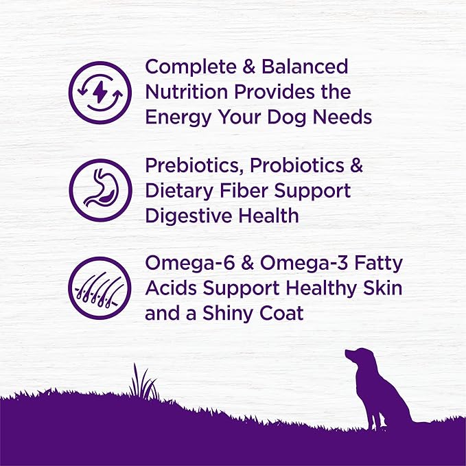 Wellness Complete Health Dry Dog Food, Wholesome Grains, Natural, Chicken & Oatmeal Recipe, (15-Pound Bag)