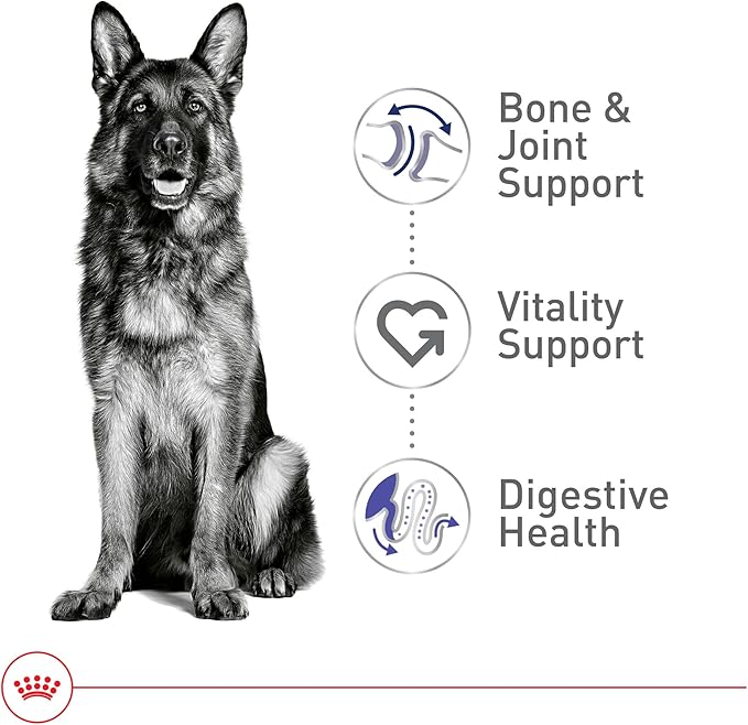 Royal Canin Size Health Nutrition Large 5+ Mature Dry Dog Food, 30 lb Bag