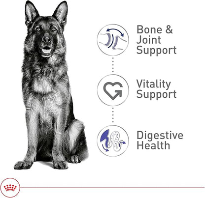 Royal Canin Size Health Nutrition Large 5+ Mature Dry Dog Food, 30 lb Bag