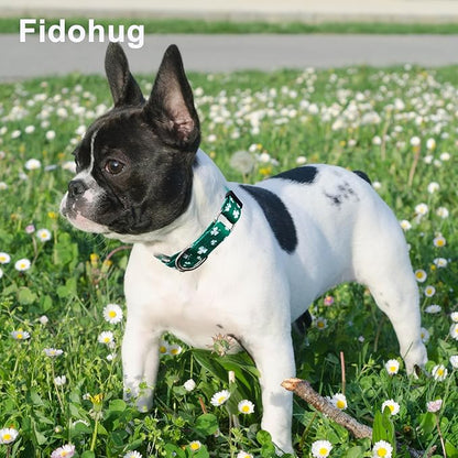 St.Patrick's Day Martingale Collar for Dogs with Buckle Adjustable Shamrock Spring Holiday Dog Collar (Clover, Medium)