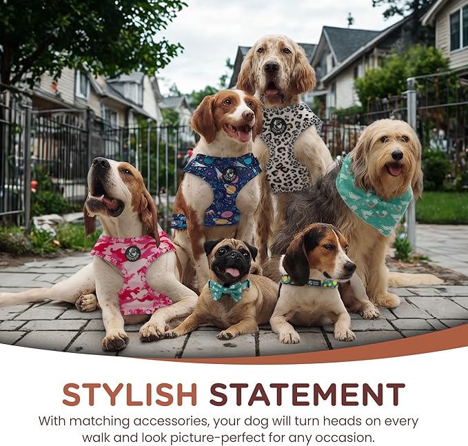 No Pull Harness and Leash Set - 6-in-1 Adjustable Vest Harness and Collars for Medium and Large Dogs. (Tile Unicorn, Large)