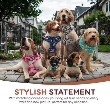 No Pull Harness and Leash Set - 6-in-1 Adjustable Vest Harness and Collars for Medium and Large Dogs. (Tile Unicorn, Large)